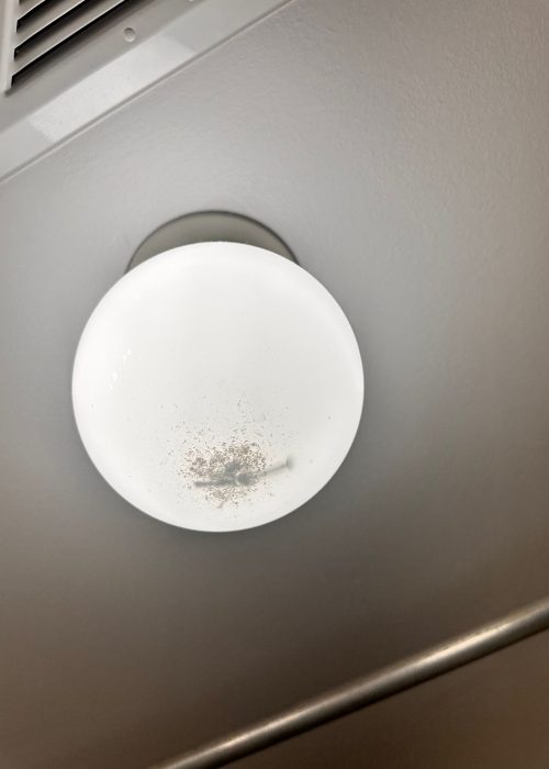 PHOTO-2025-09-23-13-14-52(3)