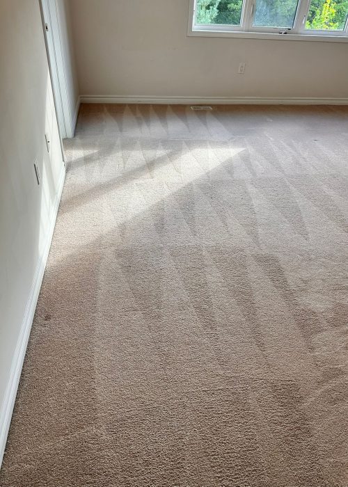 PHOTO-2025-09-23-13-20-54-elementor-io-optimized